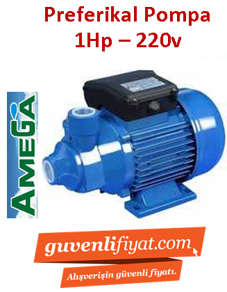 AMEGA TM 100 1hp 220v Preferikal Sürtme Fanlı Pompa