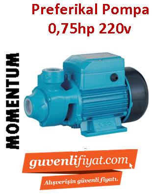 MOMENTUM PKM 70 0.75Hp 220V Preferikal Sürtme Fanlı Pompa
